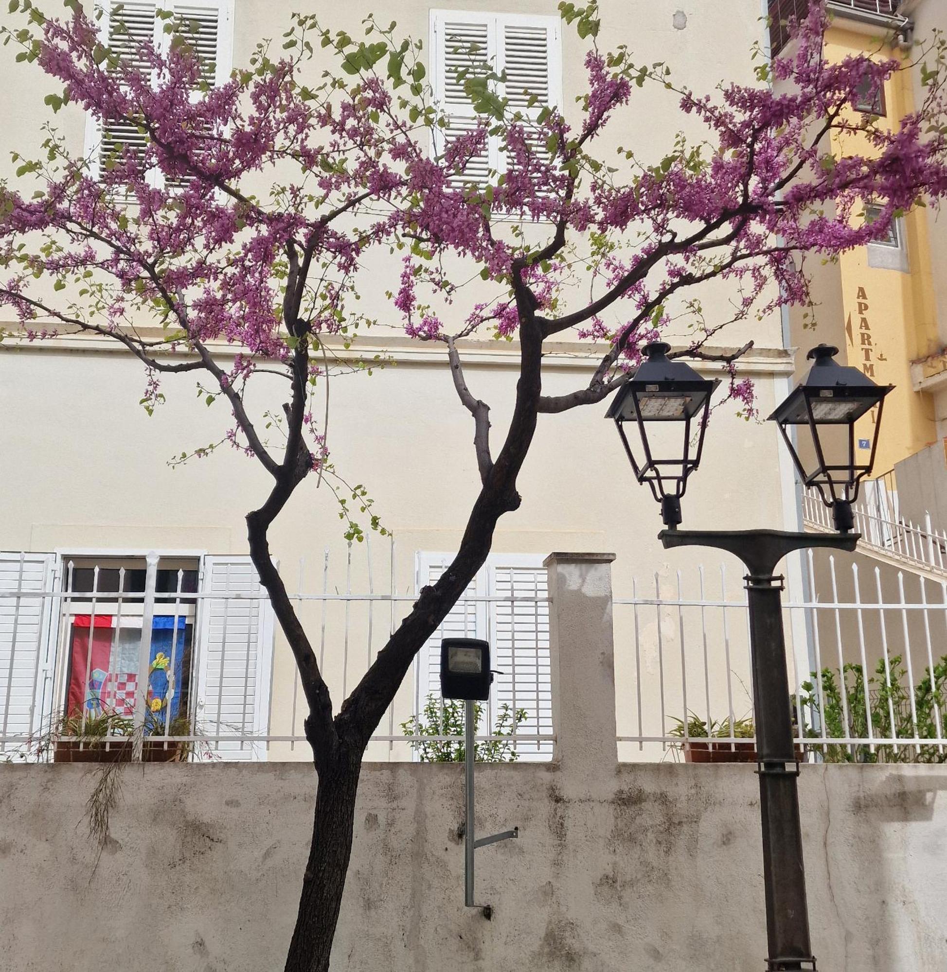 Old Town Apartment Omiš Esterno foto